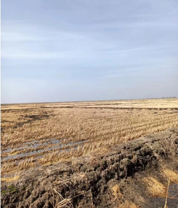 1715064317532139.jpg 20-24050G22140350.jpg